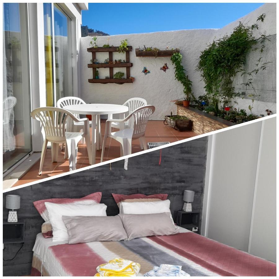 Casa 4P - Alojamento Local - Pura Paixao Por Penacova Villa Exteriör bild