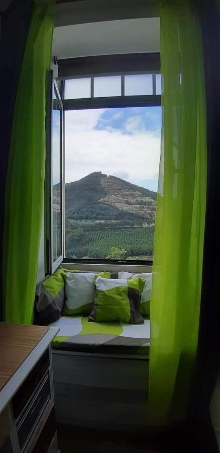 Casa 4P - Alojamento Local - Pura Paixao Por Penacova Villa Exteriör bild
